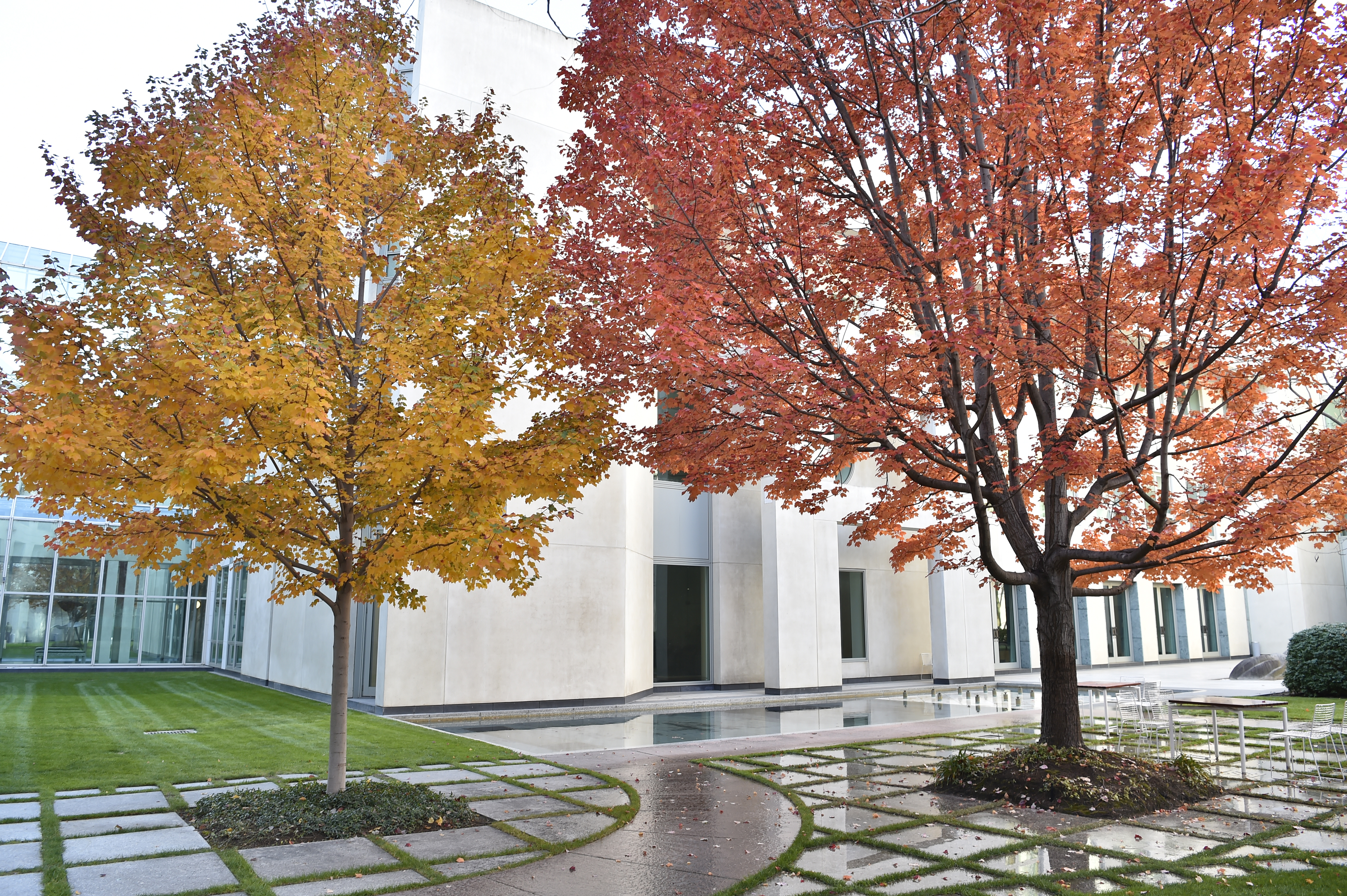 Court yard with autumn foliage trees